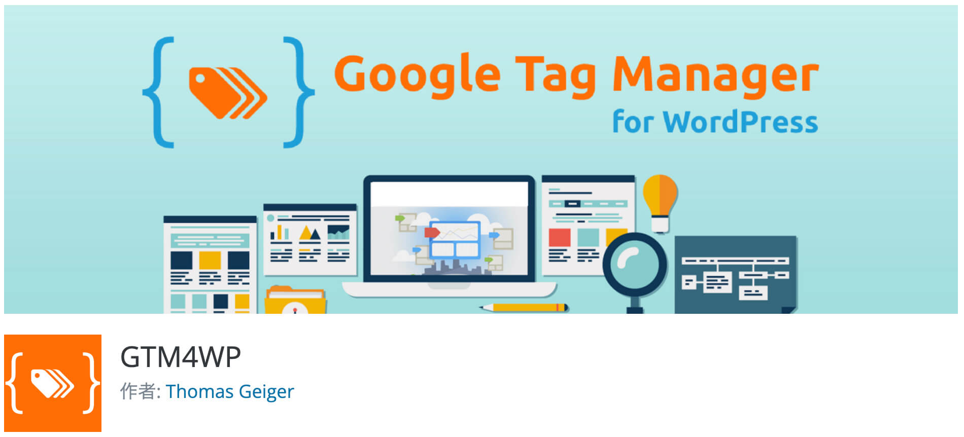 Google Tag Manager for WordPress